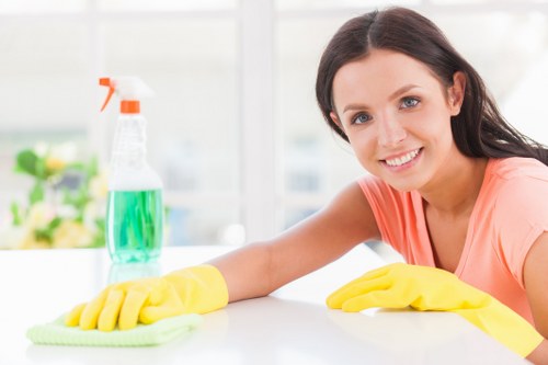 Local stain removal service for carpets and upholstery in Twickenham