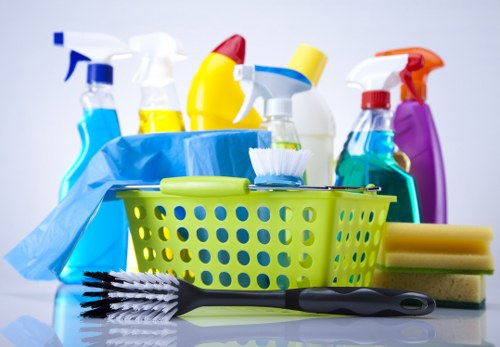 Cleaner maintaining a Twickenham home living room during a regular visit