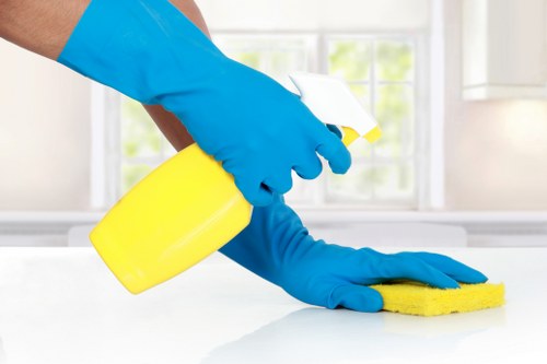 Professional move in cleaning for a Twickenham home before unpacking