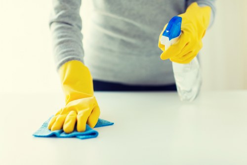 Professional cleaner working in a Twickenham flat as part of ongoing housekeeping