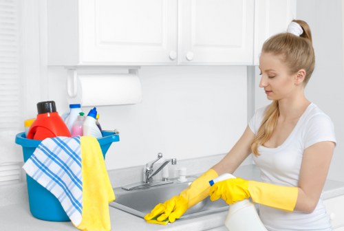 Deep cleaning oven racks and trays during a local Twickenham appointment