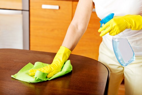 Upholstery cleaning equipment set up in a Twickenham property