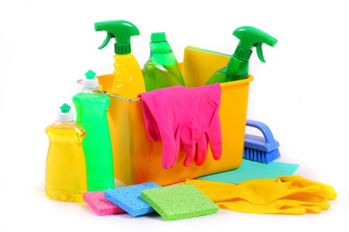 Regular home cleaning visit in a Twickenham apartment or house